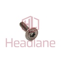 [G250-05753-00] Google Pixel 6 Pro / Pixel 7 Pro / Pixel 7 Heatsink M1.2, 4.55L Screw